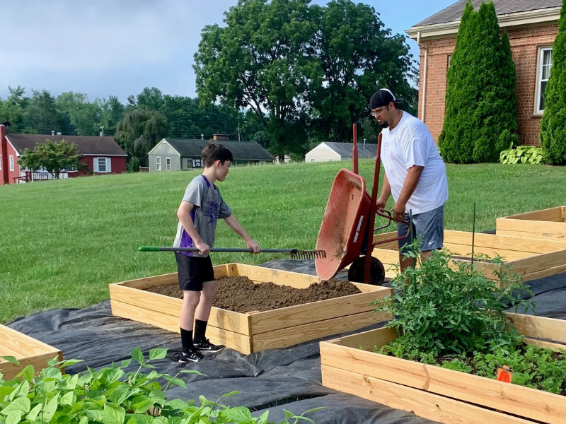 people tending to several garden beds.